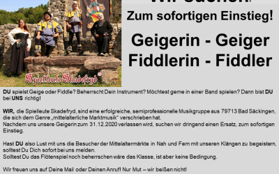 Geigerin/Geiger / Fiddlerin/Fiddler gesucht