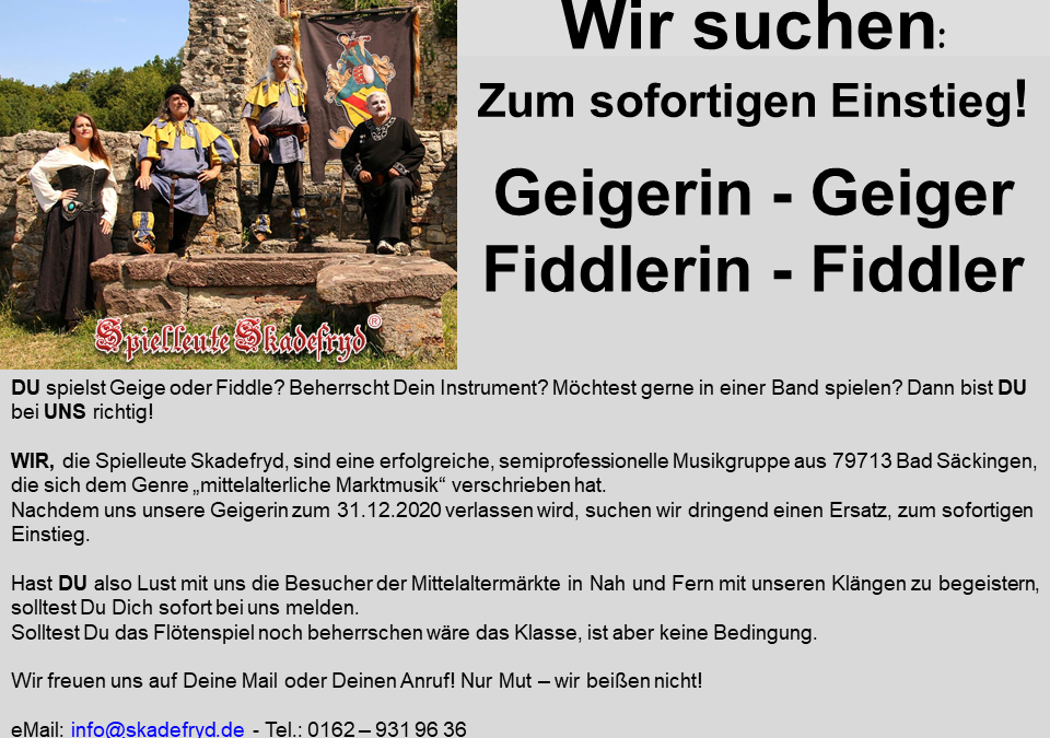 Geigerin/Geiger / Fiddlerin/Fiddler gesucht